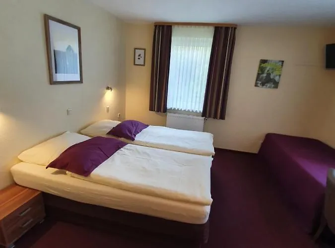 ベルグシュロスヒェン ホテル ボッパルト