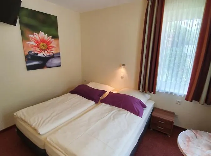 ベルグシュロスヒェン ホテル ボッパルト