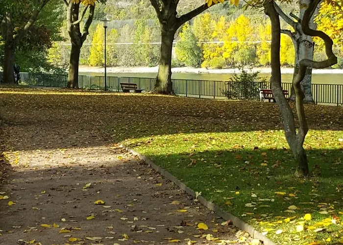 ベルグシュロスヒェン ホテル ボッパルト